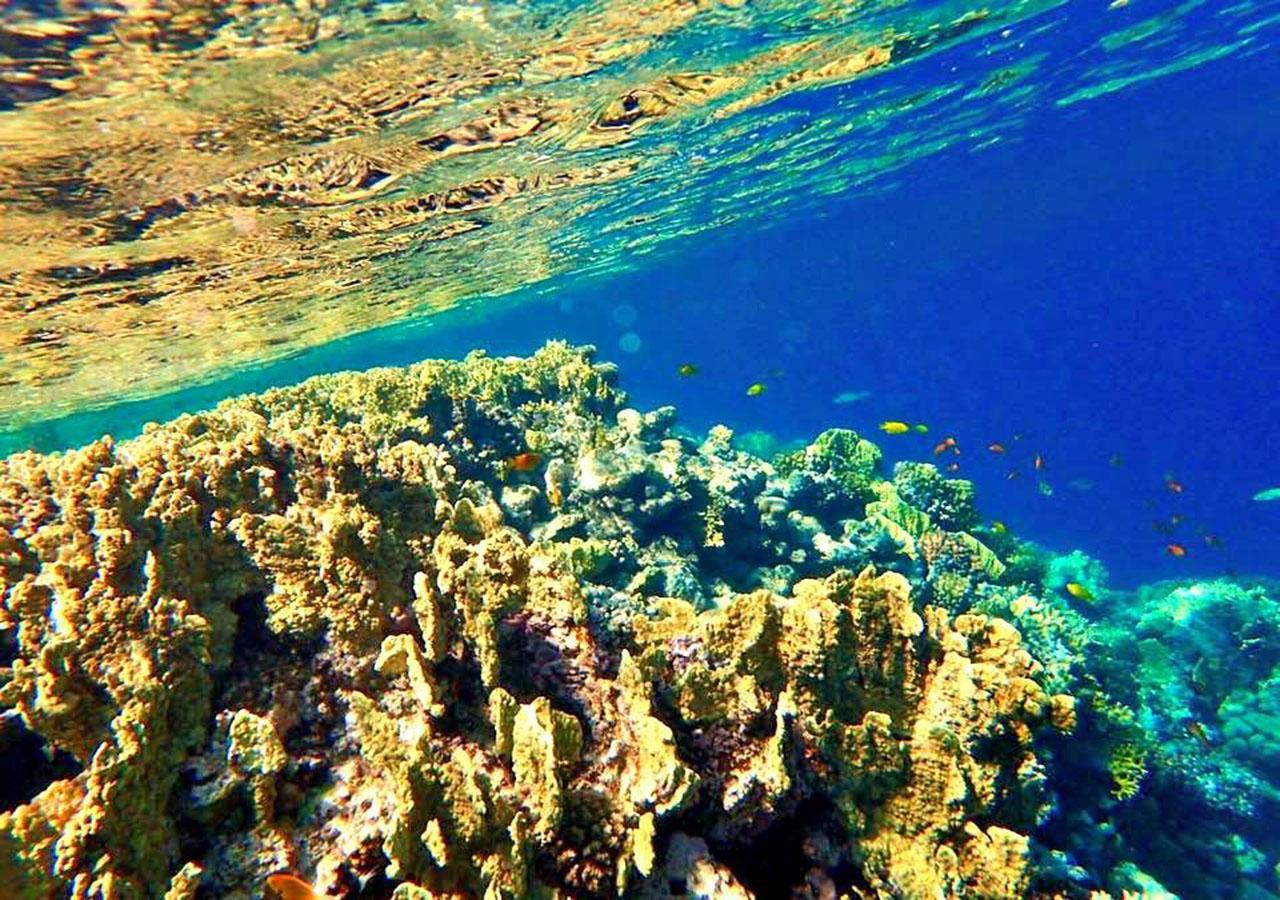 Sharm El Naga Resort&Diving Center Hurghada Exterior foto